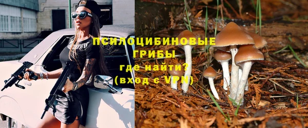 герыч Алексин
